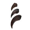 Image 2 : Jurassic Park (1993) - Velociraptor Claw Set