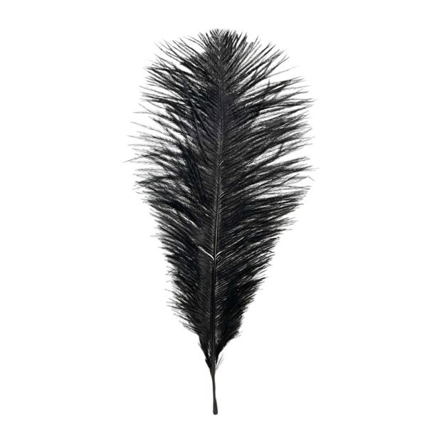 Harry Potter and the Sorcerer's Stone (2001) - Production Used Feather
