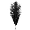 Image 2 : Harry Potter and the Sorcerer's Stone (2001) - Production Used Feather