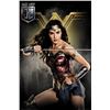 Image 10 : Justice League (2017) - Wonder Woman (Gal Gadot) Worn Hero Costume and Body Cast