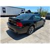 Image 3 : FORD MUSTANG 2004 WAIT/TITLE- SMOG
