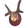 Image 6 : A Dr. Seuss Unorthodox Taxidermy Semi-Normal Green-Lidded Fawn.