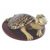 Image 1 : A Dr. Seuss Unorthodox Taxidermy Turtle-Necked Sea-Turtle.