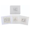 Image 1 : A Collection of "Faeries" Original Storyboards.