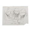 Image 5 : A Collection of "Faeries" Original Storyboards.
