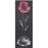 Image 2 : A Crystal Rose and Virginia Davis Signed Box.