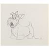 Image 1 : A "Lady and the Tramp" Jock Production Drawing.