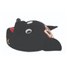 Image 5 : A Mickey Mouse Club Felt Mickey Hat.