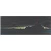 Image 1 : A "20,000 Leagues Under The Sea" Vulcania Concept Painting.