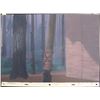 Image 1 : An Original "Pocahontas" Production Background.