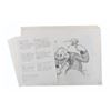 Image 10 : A Set of Large Donald Duck Halloween Special Drawings.