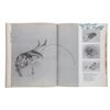 Image 17 : A Multi-Signed The Art of Walt Disney Book.