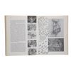 Image 22 : A Multi-Signed The Art of Walt Disney Book.