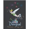 Image 3 : A Fantasy in the Sky Cast Member Jacket.