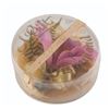 Image 1 : "A Gift from Disneyland" Mail-Away Souvenir Orchid.