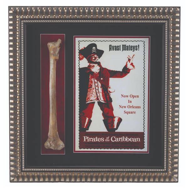 A Pirates of the Caribbean Prop Bone Display.