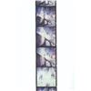 Image 15 : A Set of Captain EO Behind-the-Scenes Photo Strips.