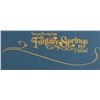 Image 4 : A Tokyo DisneySea Fantasy Springs Team Gift.