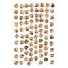 Image 2 : A Complete Set of Kellogg's Pep Cereal Character Buttons.