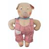 Image 10 : A Stuffed Pig Doll with Squeaker.