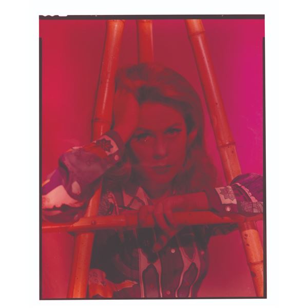 An Elizabeth Montgomery"Who's Been Sleeping in My Bed?" Transparency.