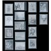 Image 2 : A Collection of"It Came From Outer Space" Negatives.