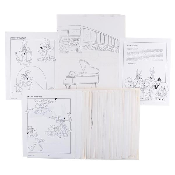 A Large Collection of Tiny Toons and Taz Mania Production Copies and Drawings.