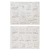Image 3 : A Set of "Tweety's High-Flying Adventure" Storyboards.
