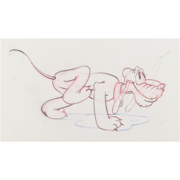 A "Society Dog Show" Pluto Production Drawing.