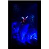 Image 3 : An Olszewski"Fantasia" Gallery of Light Box.
