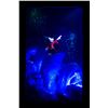 Image 4 : An Olszewski"Fantasia" Gallery of Light Box.