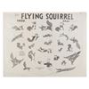Image 1 : A "The Flying Squirrel" Model Sheet.