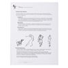Image 3 : A Disney Consumer Products Potential Applicant Folder.