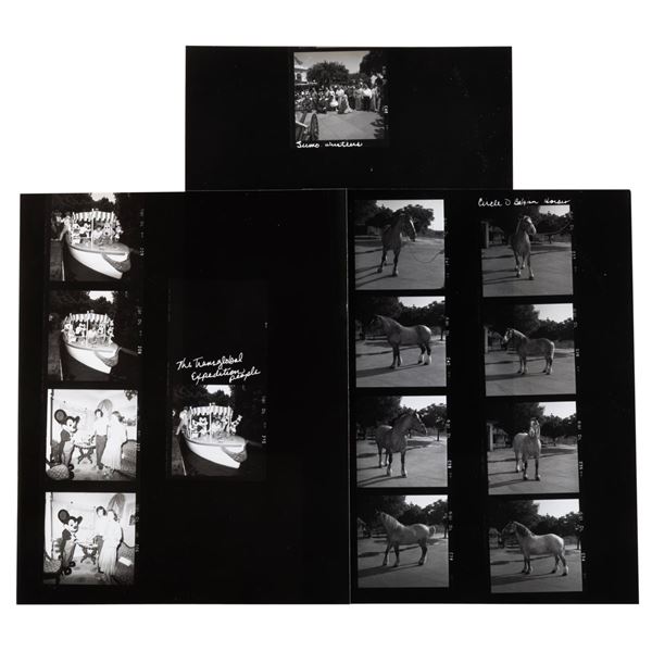 Three Disneyland Publicity Photo Contact Sheets.