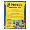 Image 1 : A"UCB Night at Disneyland" Flyer.