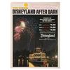 Image 1 : A Disneyland After Dark Flyer.