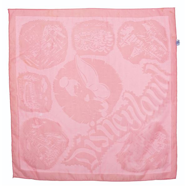 A Souvenir Disneyland Lands Scarf.