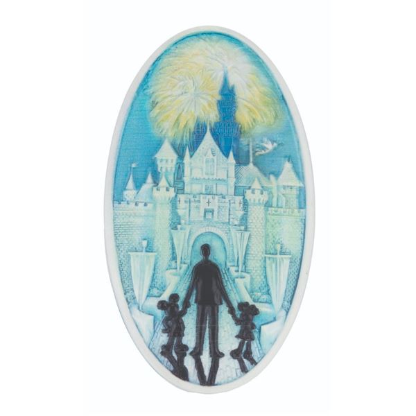 A Sleeping Beauty Castle & Fireworks PokitPal.