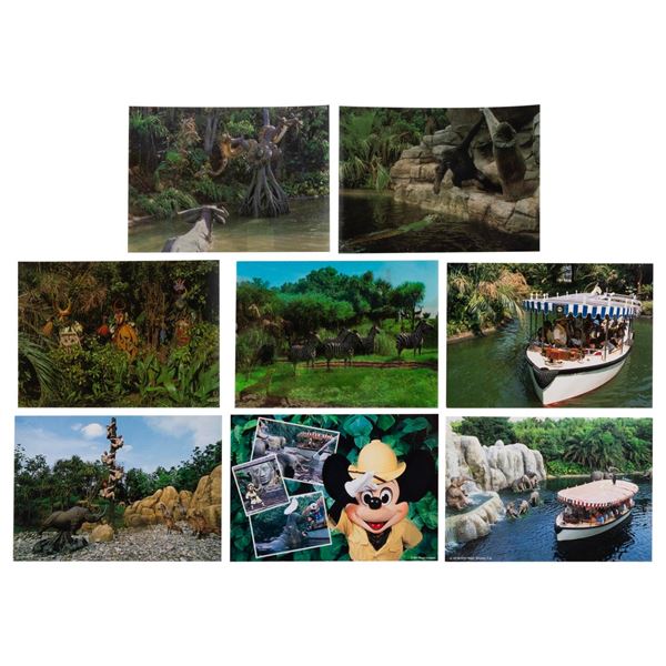 A Set of Tokyo Disneyland Jungle Cruise Postcards.