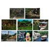 Image 1 : A Set of Tokyo Disneyland Jungle Cruise Postcards.