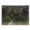 Image 2 : A Set of Tokyo Disneyland Jungle Cruise Postcards.