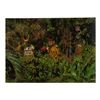 Image 4 : A Set of Tokyo Disneyland Jungle Cruise Postcards.