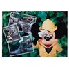 Image 8 : A Set of Tokyo Disneyland Jungle Cruise Postcards.