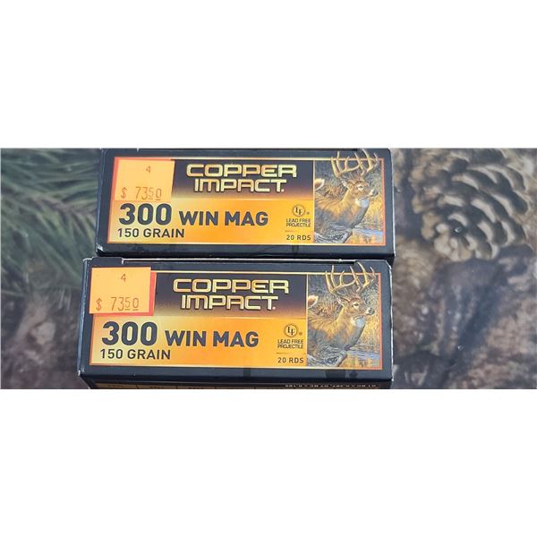 2 BOXES 300 WIN MAG. WINCHESTER COPPER IMPACT 180 GRAIN 20 ROUNDS PER BOX NOS SHIPPING ON AMMUNTION