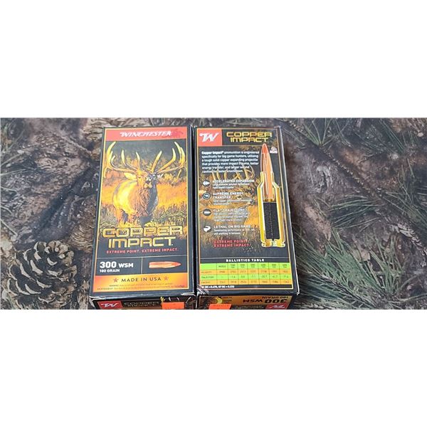 2 BOXES 300 WSM WINCHESTER COPPER IMPACT 180 GRAIN 20 ROUNDS PER BOX NO SHIPPING ON AMMUNTION