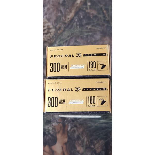 2 BOXES 300 WSM FEDERAL PREMIUM TROPHY COPPER 180 GRAIN 20 ROUNDS PER BOX NO SHIPPING ON AMMO
