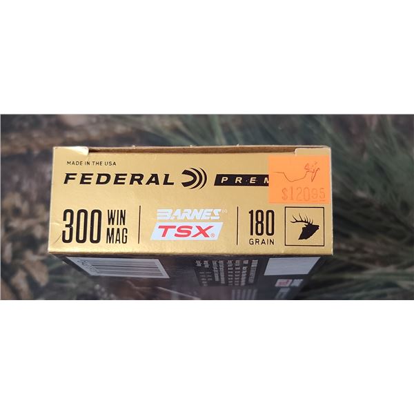 2 BOXES 300 WIN. MAG FEDERAL PREMIUM NOSLER PARTITION 180 GRAIN 20 ROUNDS PER BOX NO SHIPPING ON AMM