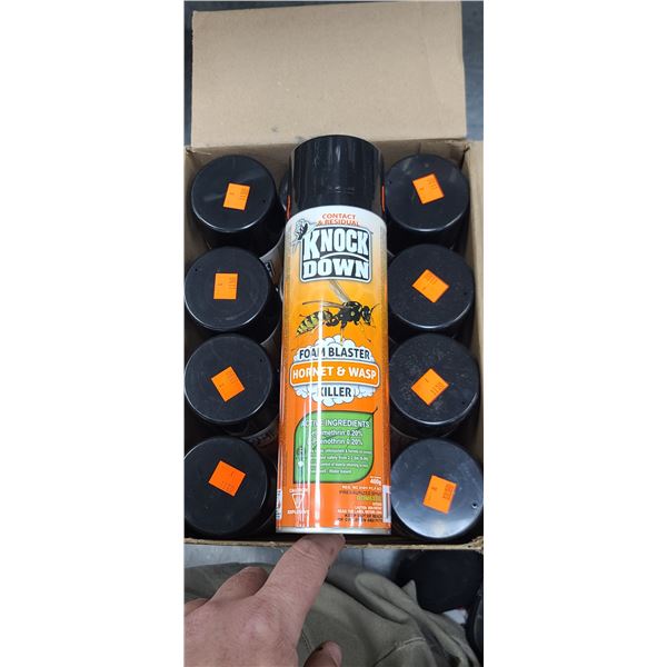 12 CANS OF KNOCK DOWN HORNET & WASP FOAM BLASTER KILLER. NO SHIPPING