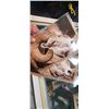 Image 3 : 50 ASSORTED CARDS PLUS RACK (SANDY SHINCLCI PHOTOGRAPHY WILDLIFE)