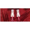 Image 3 : 2 CAPITAL WATERFOWL DUCK CALL